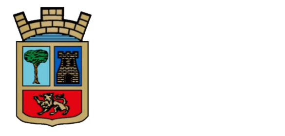 Logo ayuntamiento El Espinar